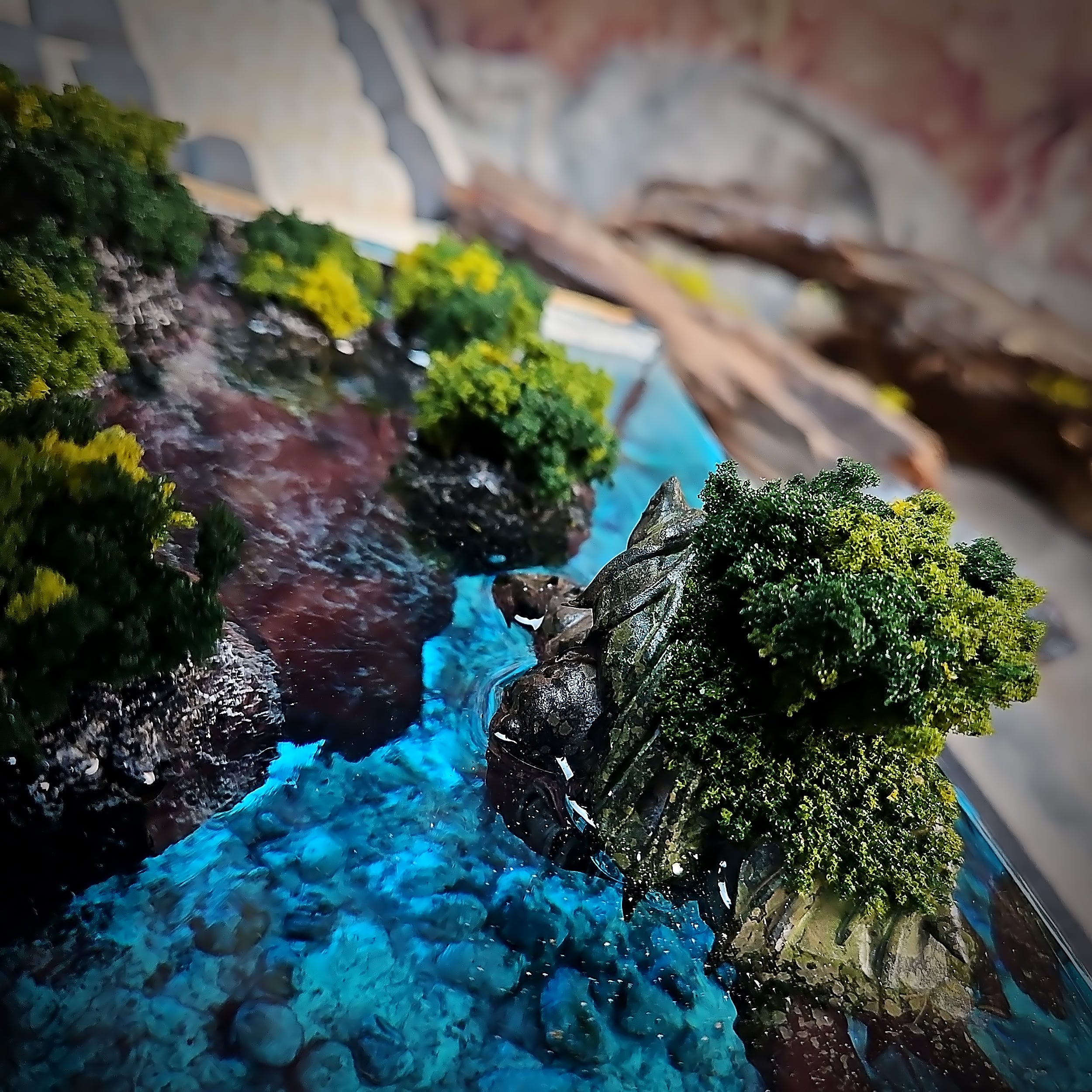 Map Turtle Light Box - handmade resin light box