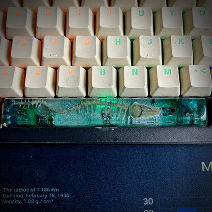 Leviathan Space Keycap - handmade resin spacebar keycap