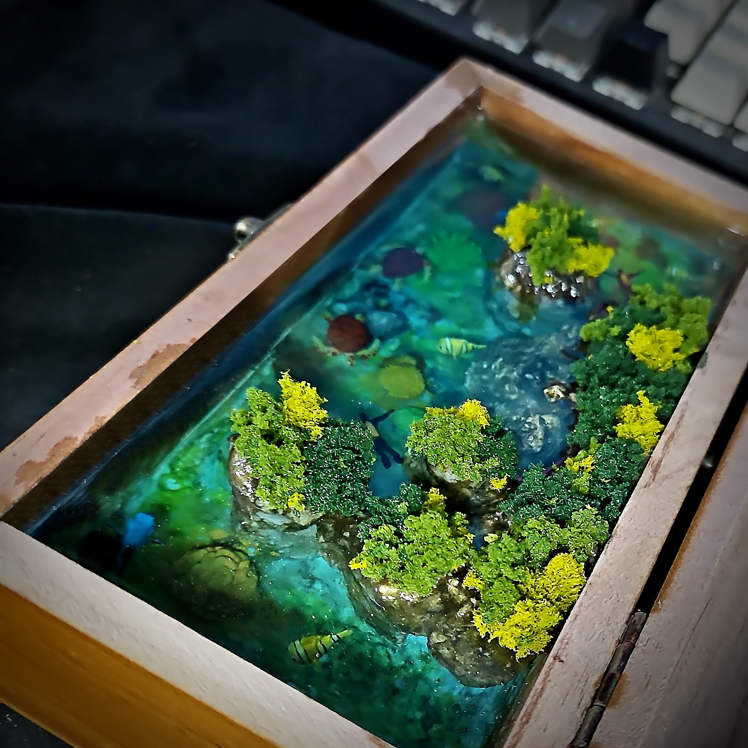 Vintage Coral Light Box - handmade resin light box