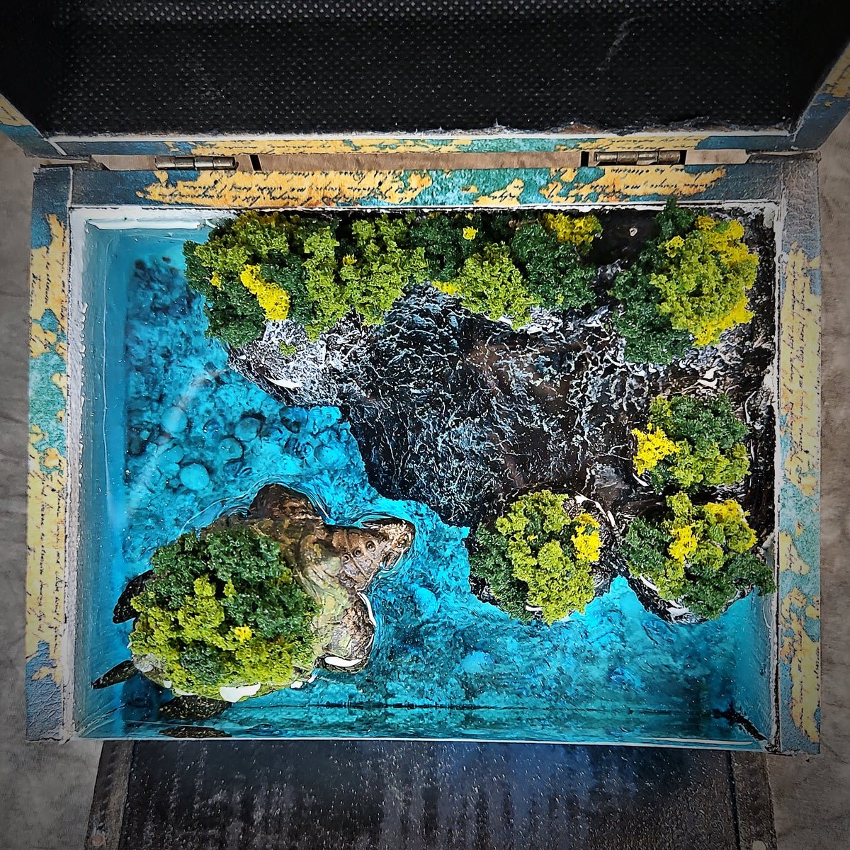 Map Turtle Light Box - handmade resin light box