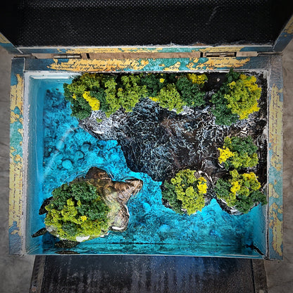 Map Turtle Light Box - handmade resin light box