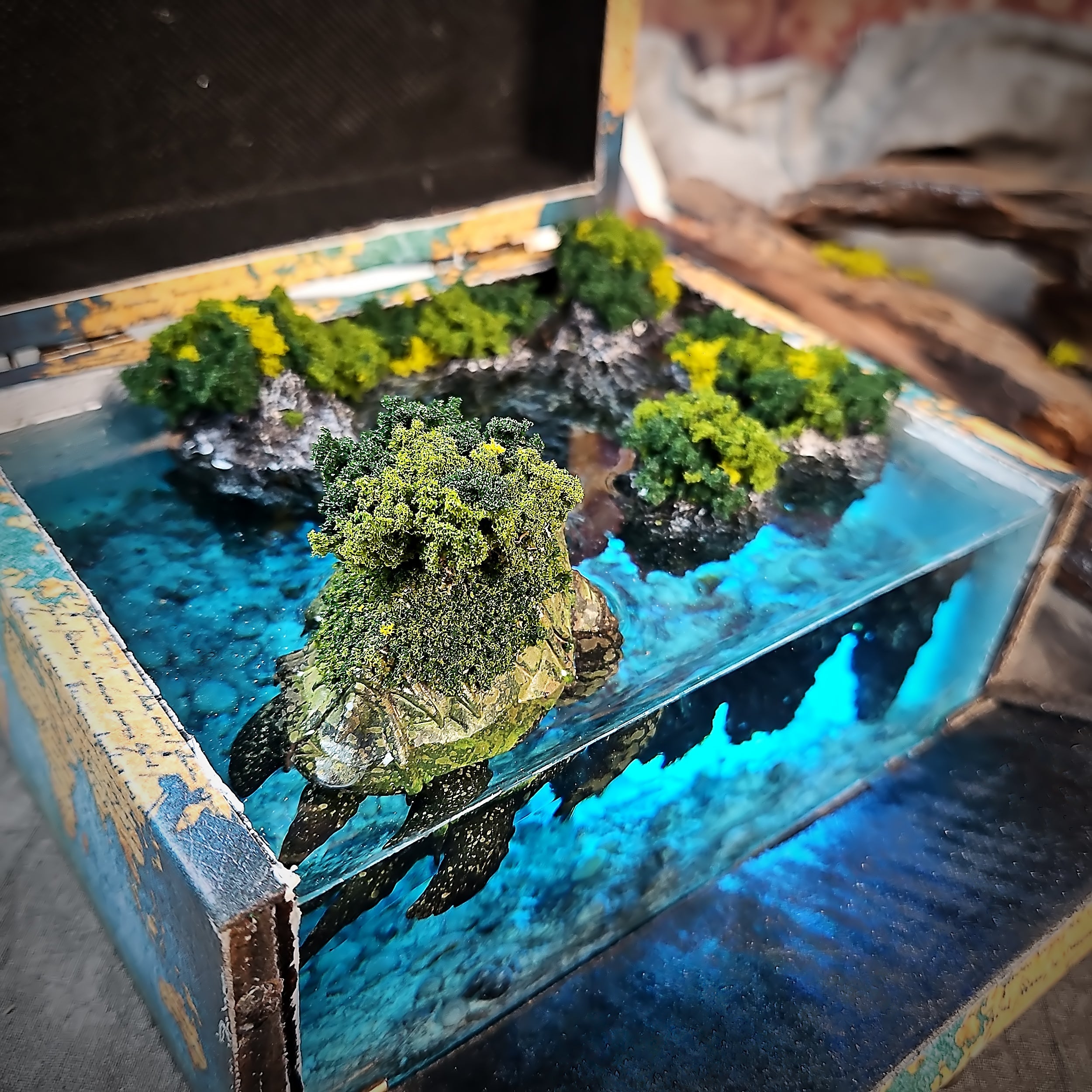 Map Turtle Light Box - handmade resin light box