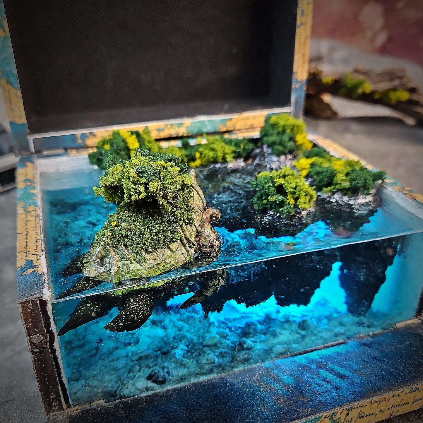 Map Turtle Light Box - handmade resin light box